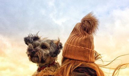 ما هي بطاقات الهدايا وماذا تعلمنا عن تصميم الويب